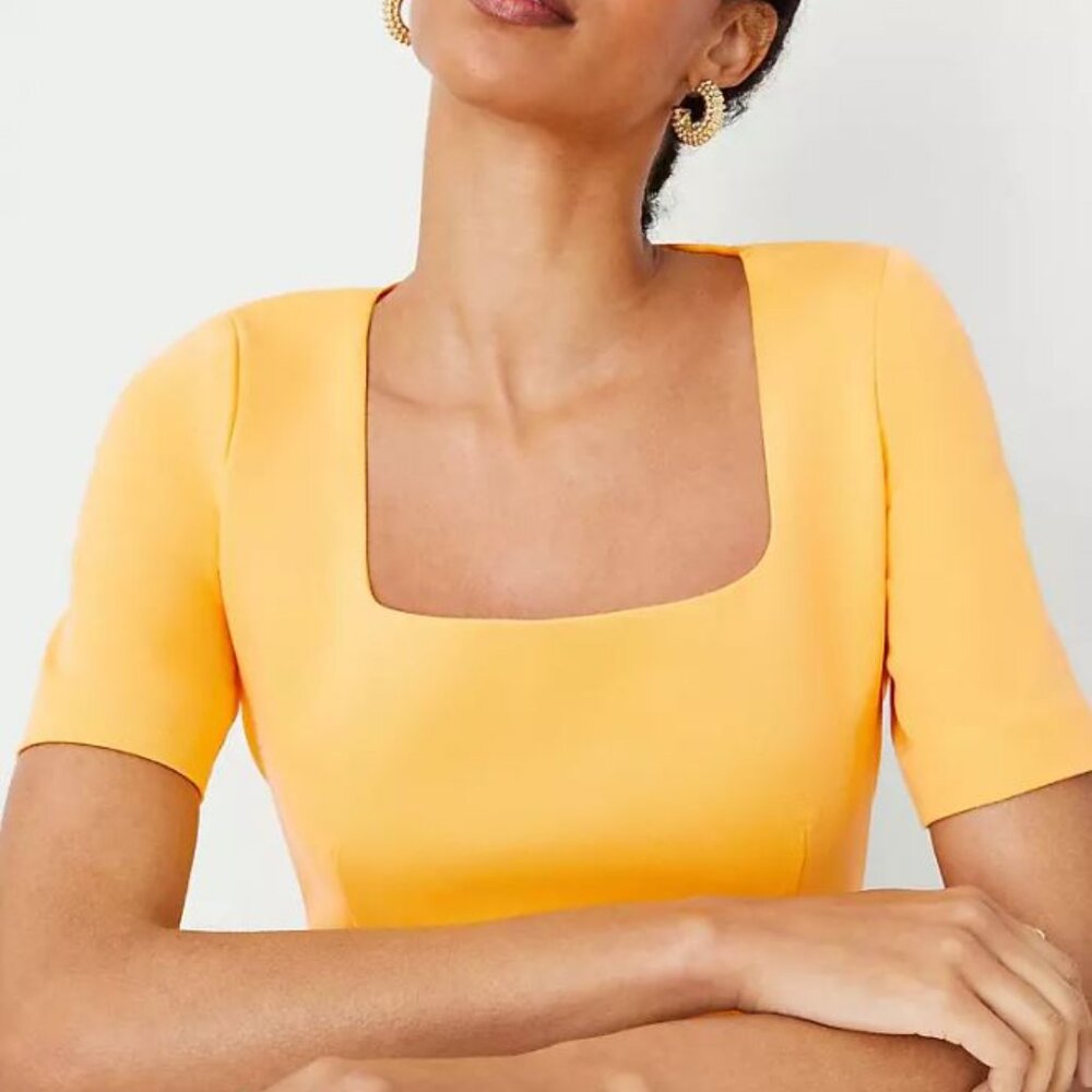 NWT Ann Taylor Scoop Neck Short Sleeve Sheath Dress - size 14
